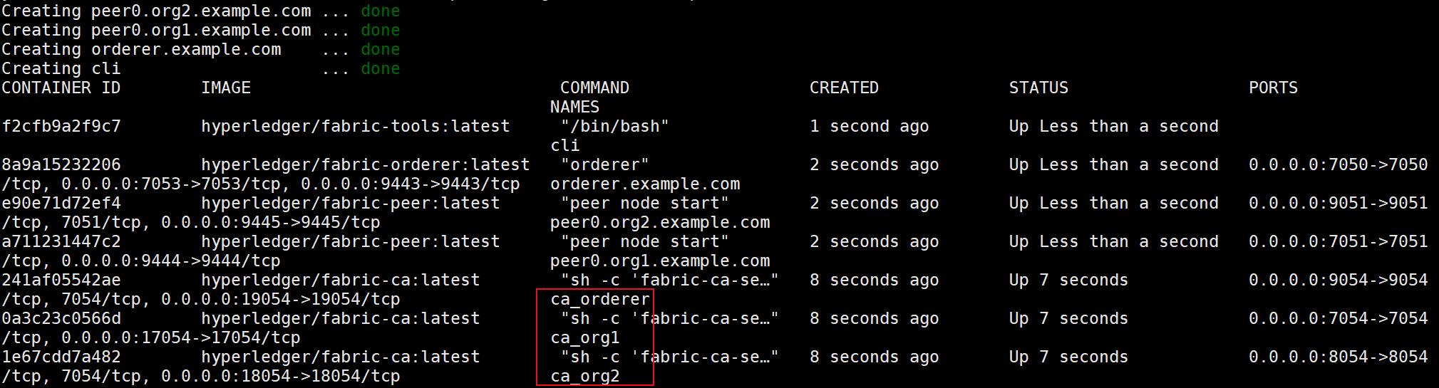 Hyperledger Fabric 2.x 环境搭建