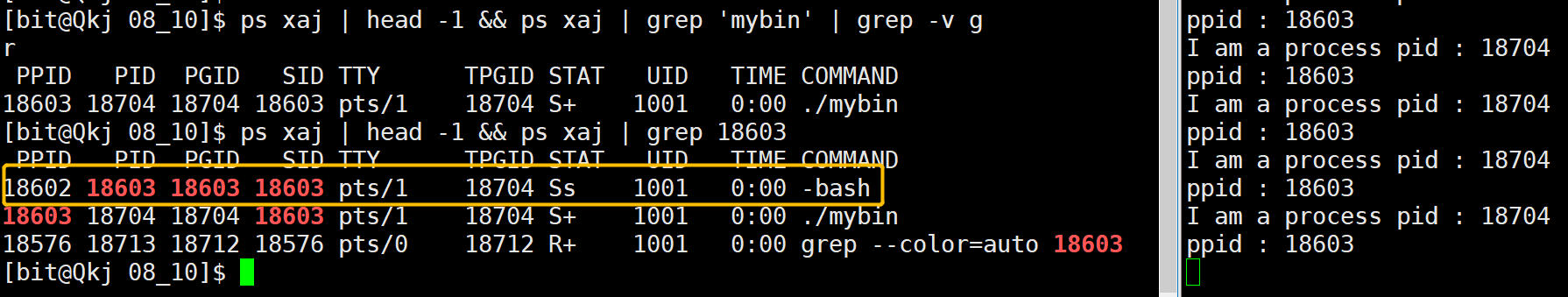 image-20220810194421696