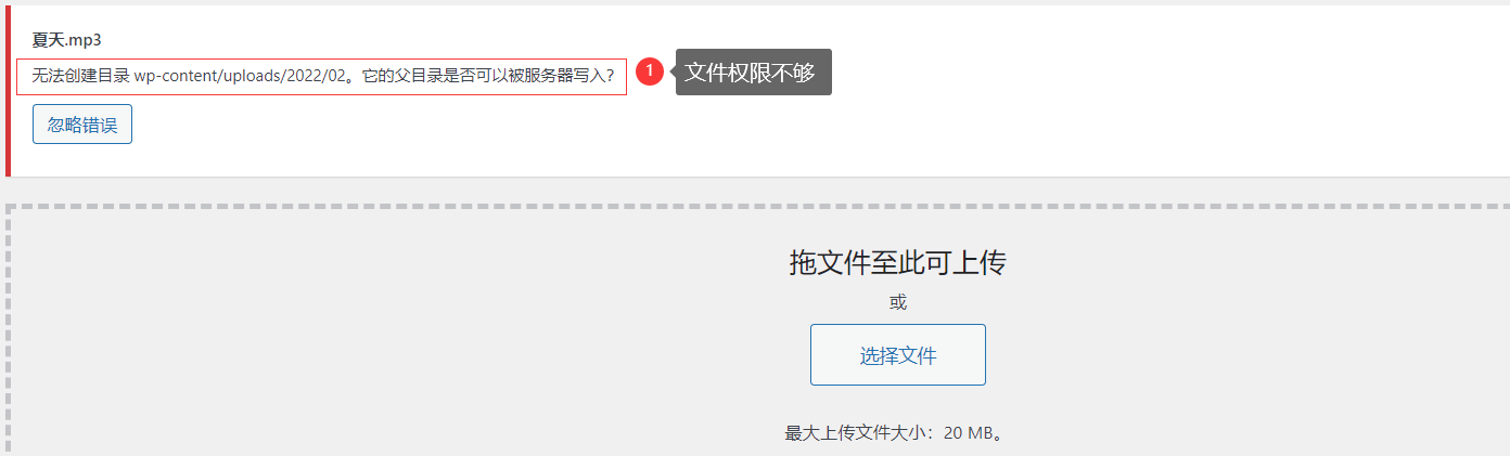 image-20220213013224775