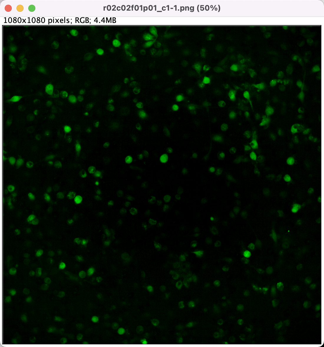 image-20220824161816270