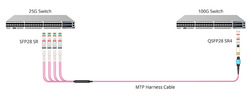 QSFP28 SR4 Module 100G to 100G Direct Connection.jpg