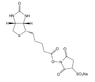 生物素-磺基-活性酯,Sulfo-NHS Biotin科研用试剂简介；CAS：119616-38-5