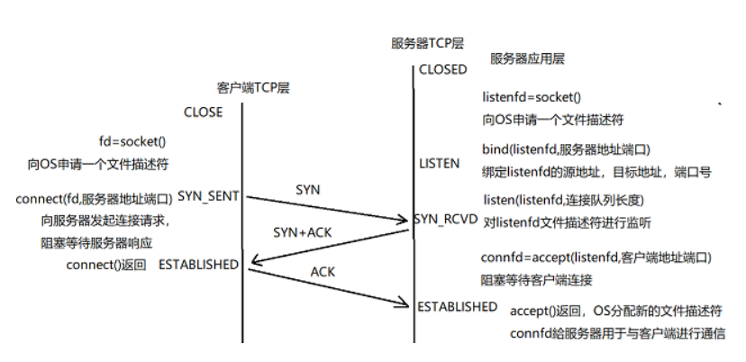 传输层协议—TCP协议