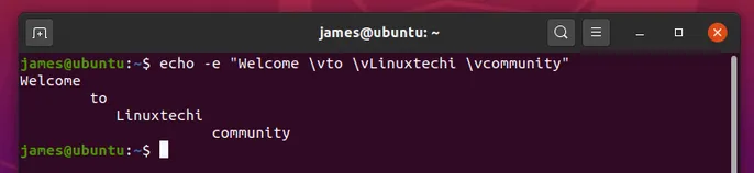 Vertical-Space-Echo-Command-Linux