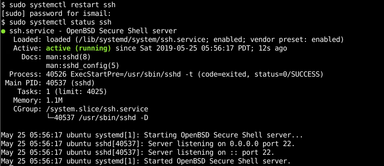 Check SSH Service Status