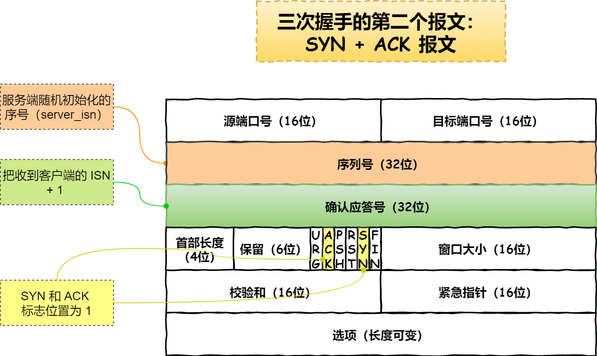 SYN + ACK 报文