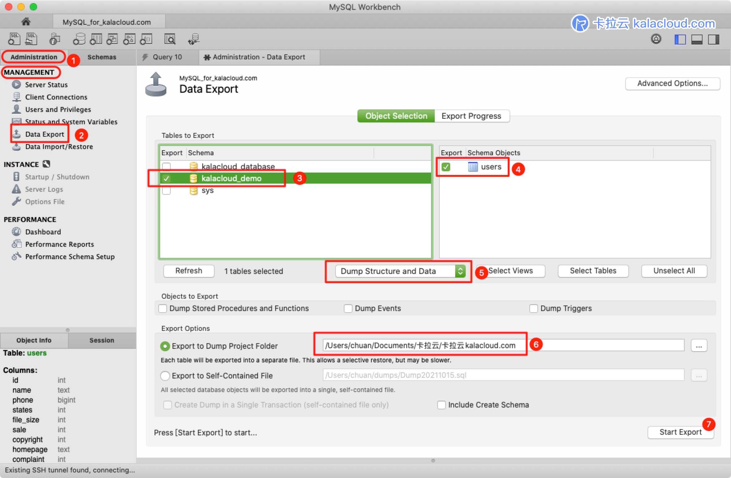 使用 MySQL Workbench 导出数据