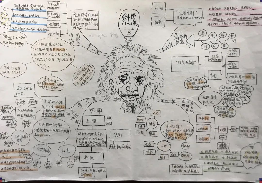 创新理论基础思维导图