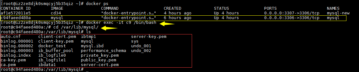 在Docker中安装Mysql