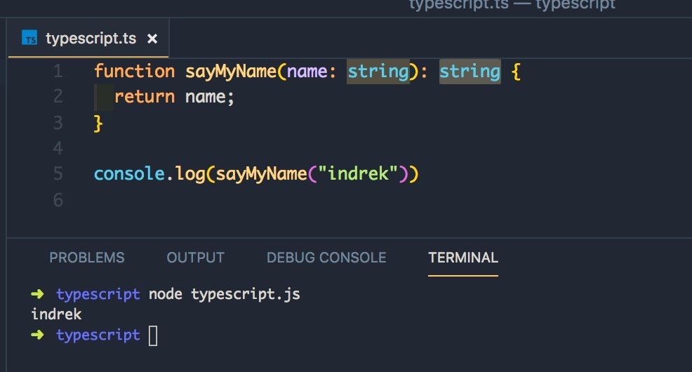 Typescript type interface