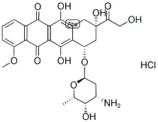 DOX-HSA/HGB/FITC/Glu人血清蛋白/血红蛋白/荧光素/葡萄糖修饰阿霉素