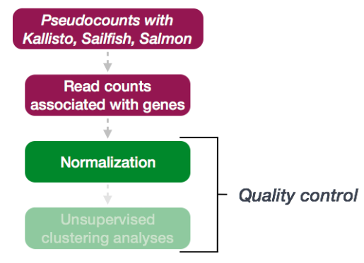 RNA-seq 详细教程：搞定count归一化（5）