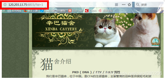 7b515946811b448db2af81cbc20cb11f.png