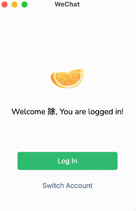 Log In