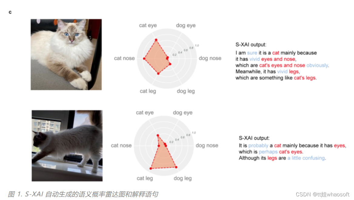 CNN的识别机制_二分类_03