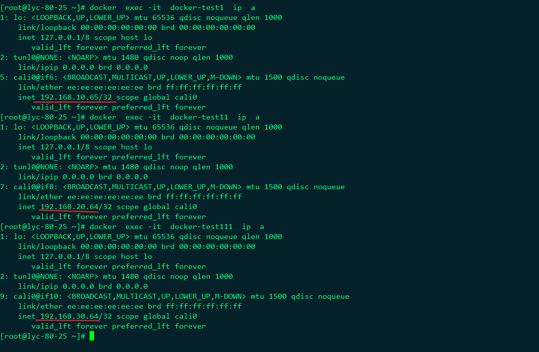 第十二节  Docker网络之Calico_ico_38