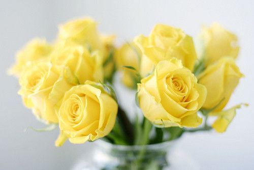 7bb6f436e9d3397a4a15ca1d9bb796f8.png
