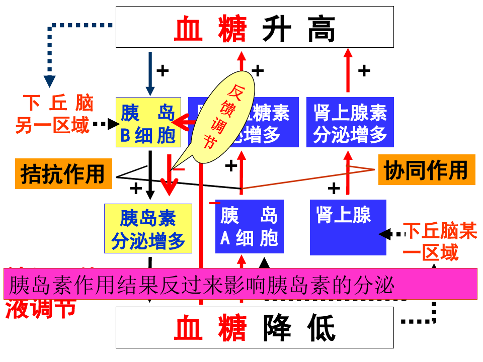 分级调节过程图解图片