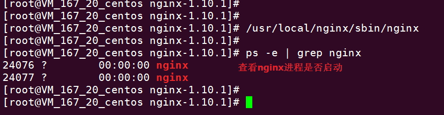 启动nginx