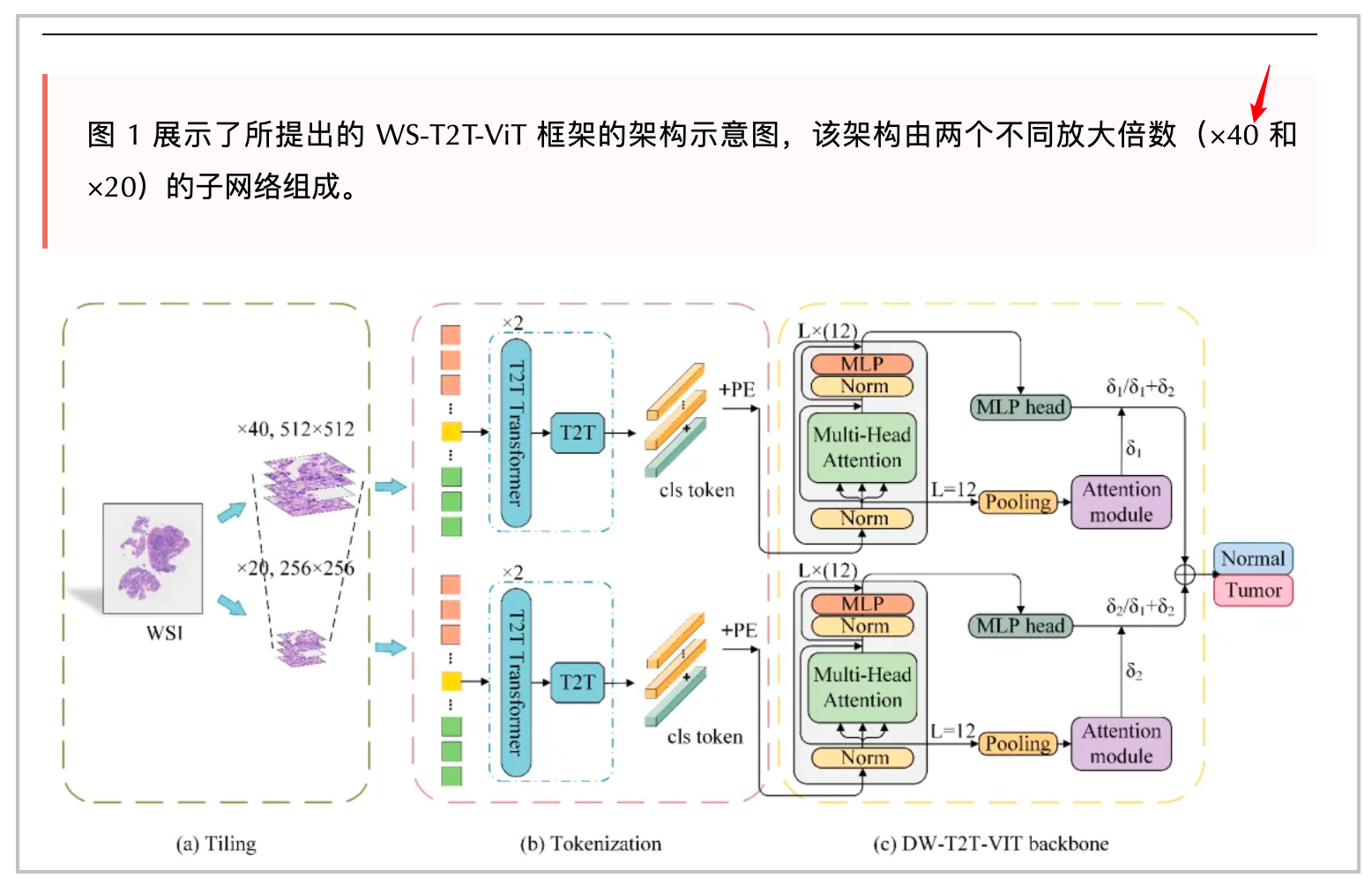 https://mp.weixin.qq.com/s/HiPC79EcNBquEZh49Ukc9g