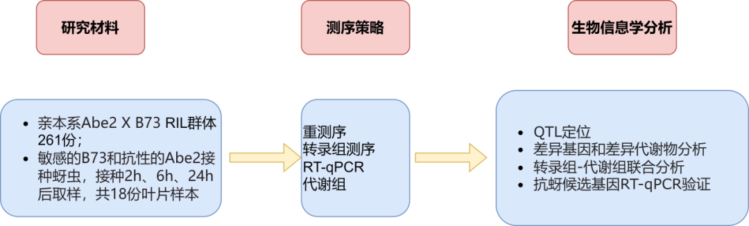 联合分析专题--植物篇！--带你了解多组学联合分析在粮食及经济作物方向的研究思路