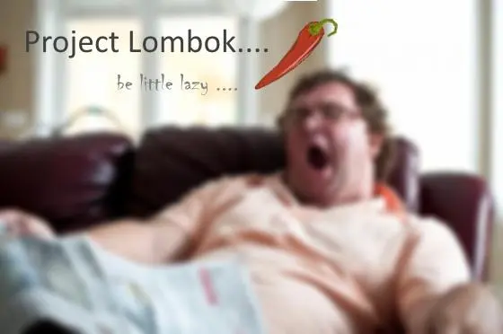 Why does our company give up Lombok? Because it puts the code in a "sub-healthy" state