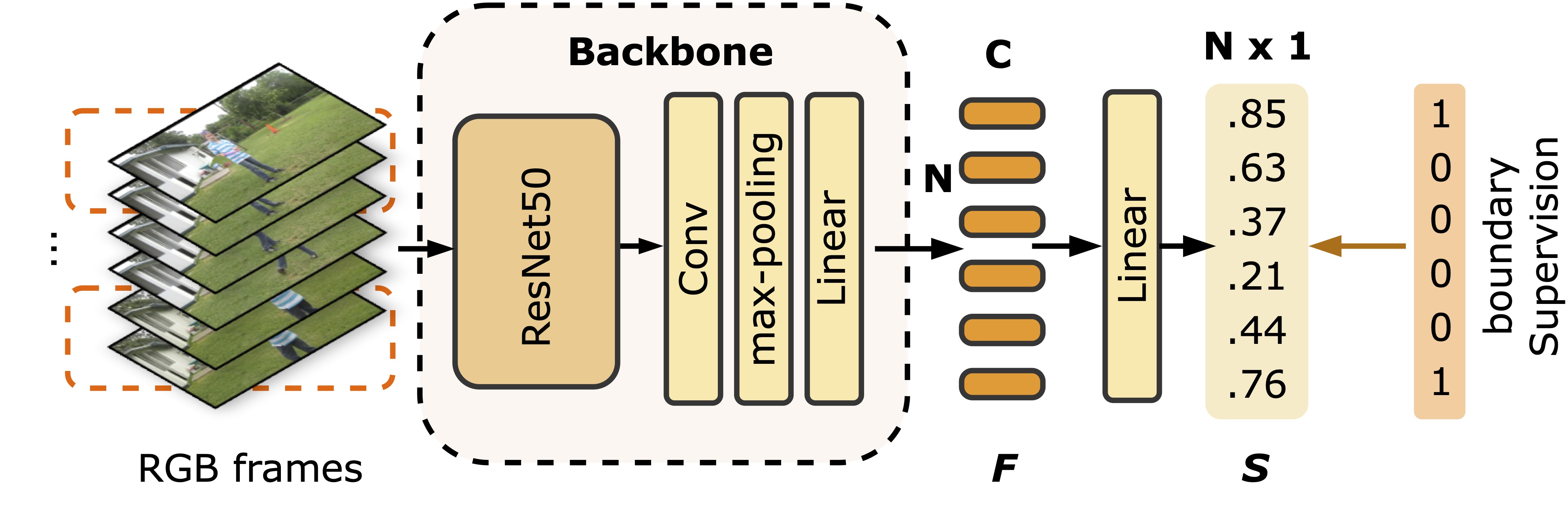 backbone.jpg