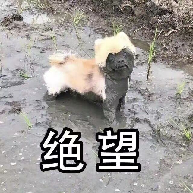 ifelse语句谈谈代码如何避免写出糟糕ifelse语句