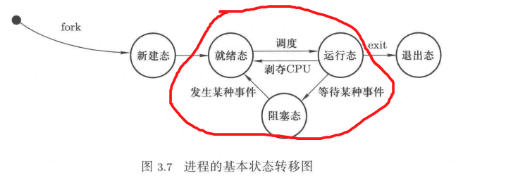 fork创建多个子进程