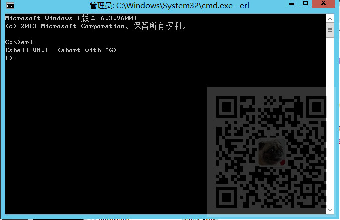 Windows上安装rabbirmq(包括安装erlong环境与配置环境变量)