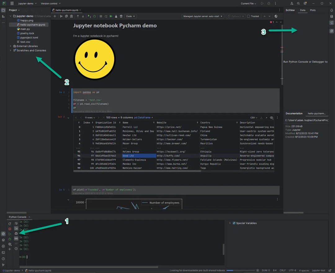 <span style='color:red;'>在</span><span style='color:red;'>PyCharm</span><span style='color:red;'>中</span><span style='color:red;'>使用</span>Jupyter Notebooks实现<span style='color:red;'>高效</span>开发