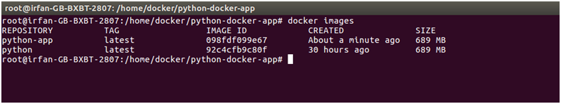  Docker Python application 4