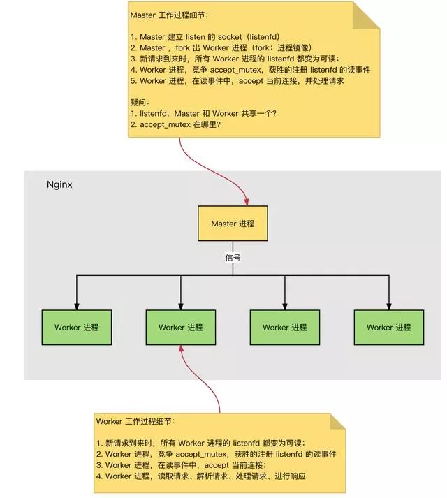 Nginx为什么快到根本停不下来？