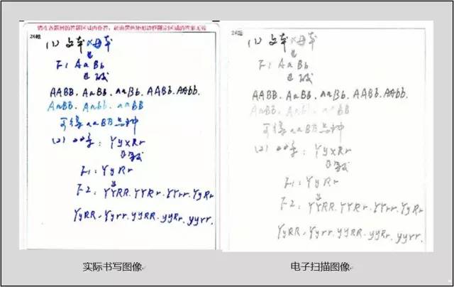 7dac25b692969866e6ffe416f9015270.png
