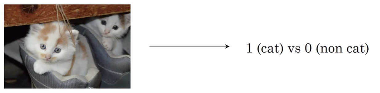 7dcf03d0b52b22f0754f8a70ea8931b4.png