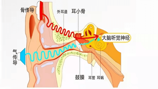 骨传导耳机可以保护听力吗？一文读懂骨传导耳机和开放式耳机的区别！