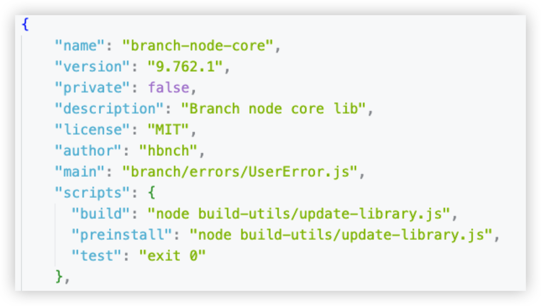 案例分析：NPM 中恶意包利用环境变量差异绕过检测