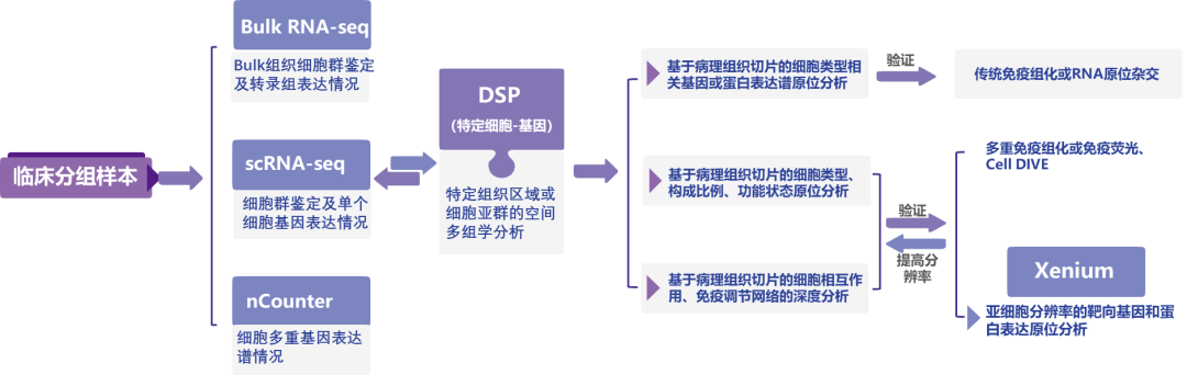 文献集锦 | 非因空间多组学技术在胰腺癌肿瘤微环境中的研究策略