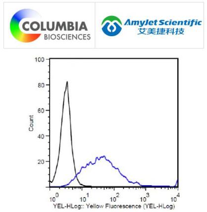 Columbia Biosciences 小鼠抗 DYKDDDDK IgG说明书