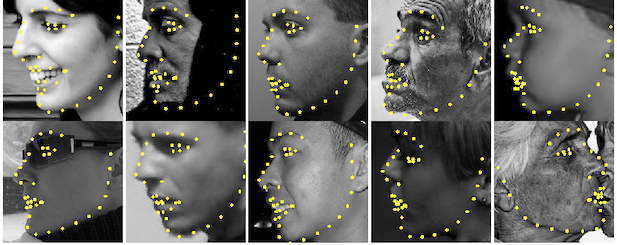 在300w数据集上的正面人脸检测结果示例:请看一段该库在 300 vw上检测