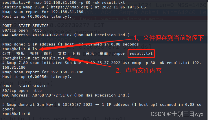 Nmap使用教程图文教程（超详细）