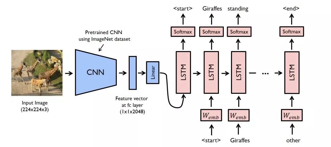 Network Structure