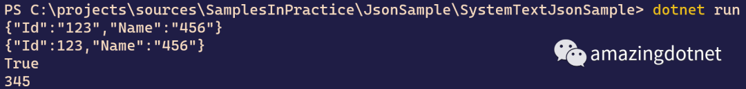 System.Text.Json 自定义 Conveter