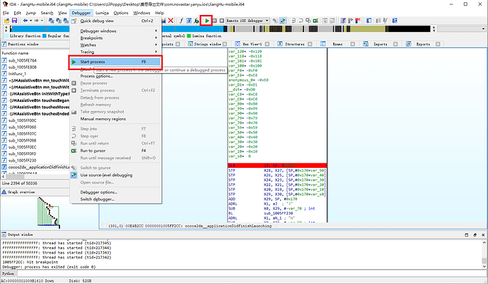 ida_start_process