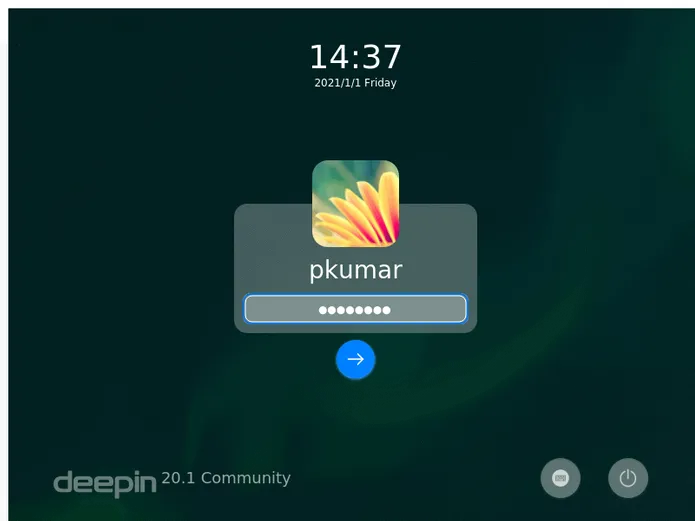 Deepin-20-1-Login-Screen