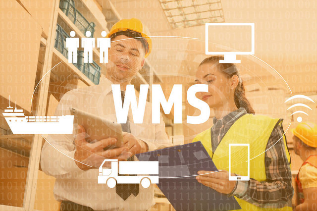 WMS system