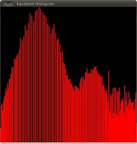 Histogram_Equalization_Equalized_Histogram.jpg