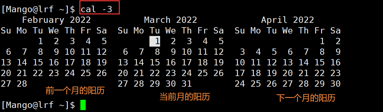 image-20220301191335125