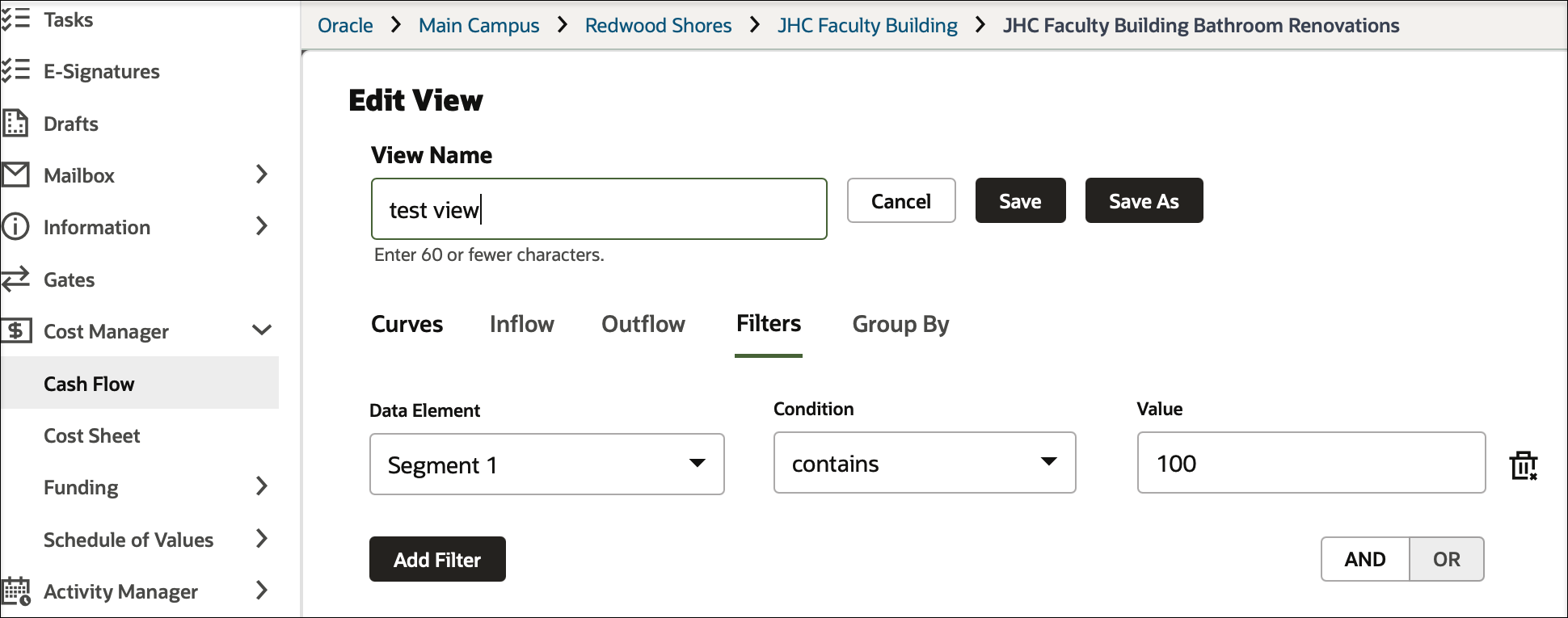 Screen image of a cash flow edit view panel, showing the filters tab selected, and the condition that data elements Segment 1 should contain the value 100.