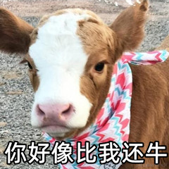 2024年最新Python超详细学习资料,分享给需要的人(新手入门、大学生)_2024黑马python+大数据资源-CSDN博客